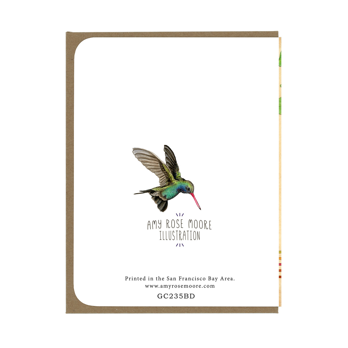 Birthday - Hummingbird and Fuschias - Greeting Card