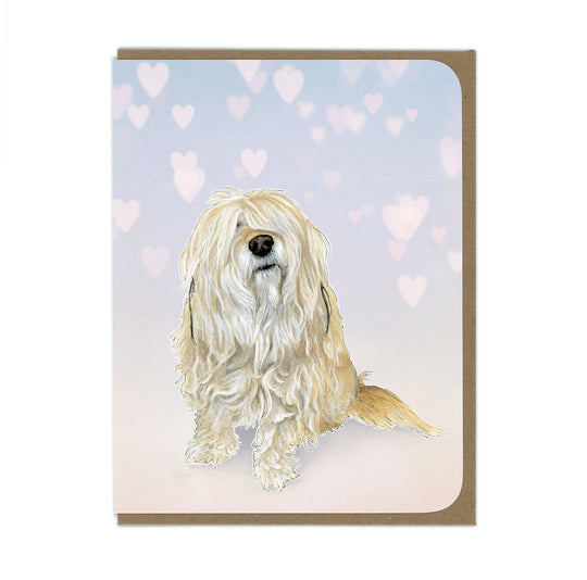 Loving Little Fluffy Dog - Greeting Card