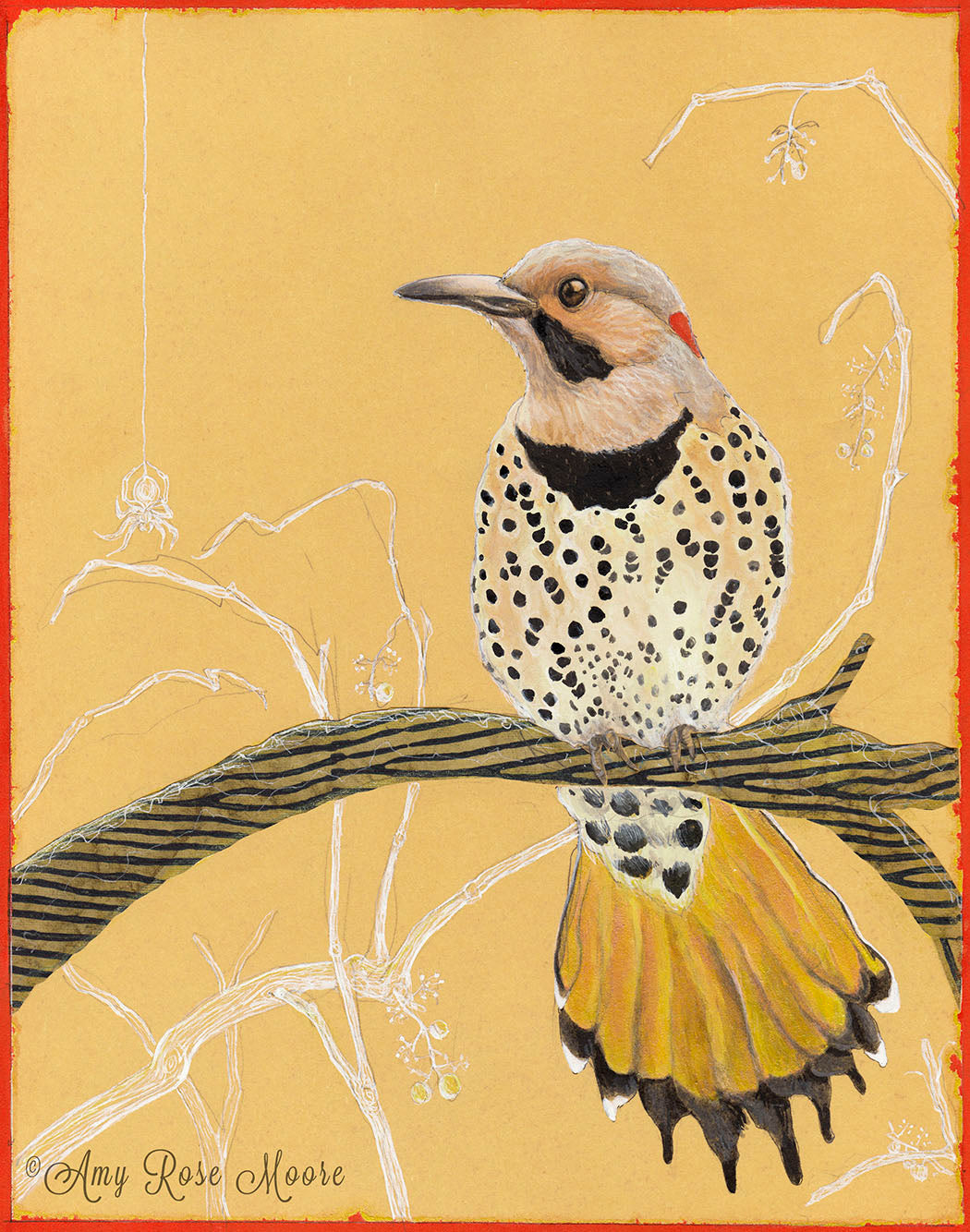 Northern Flicker Print
