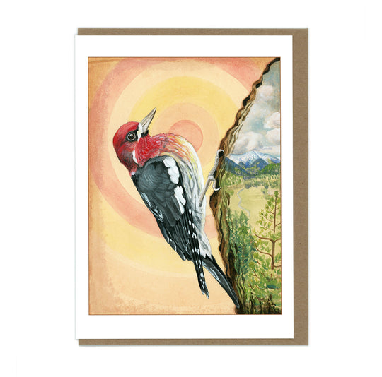 Red-breasted Sapsucker - Greeting Card