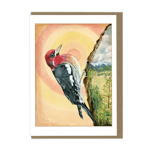 Red-breasted Sapsucker - Greeting Card