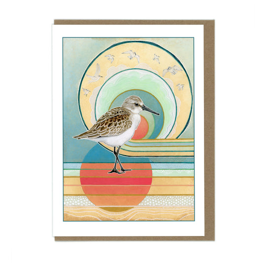 Western Sandpiper #2 - Greeting Card