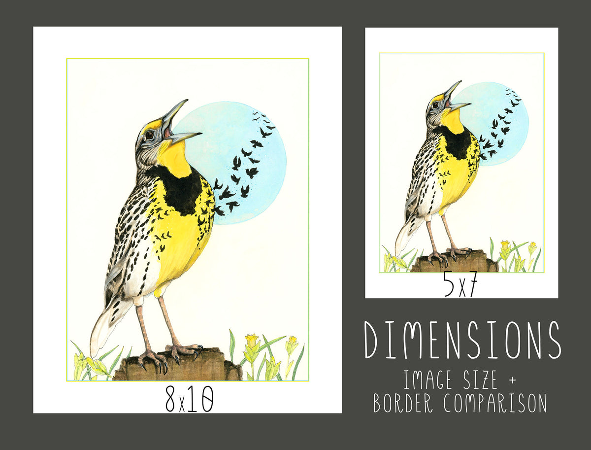 Western Meadowlark Print