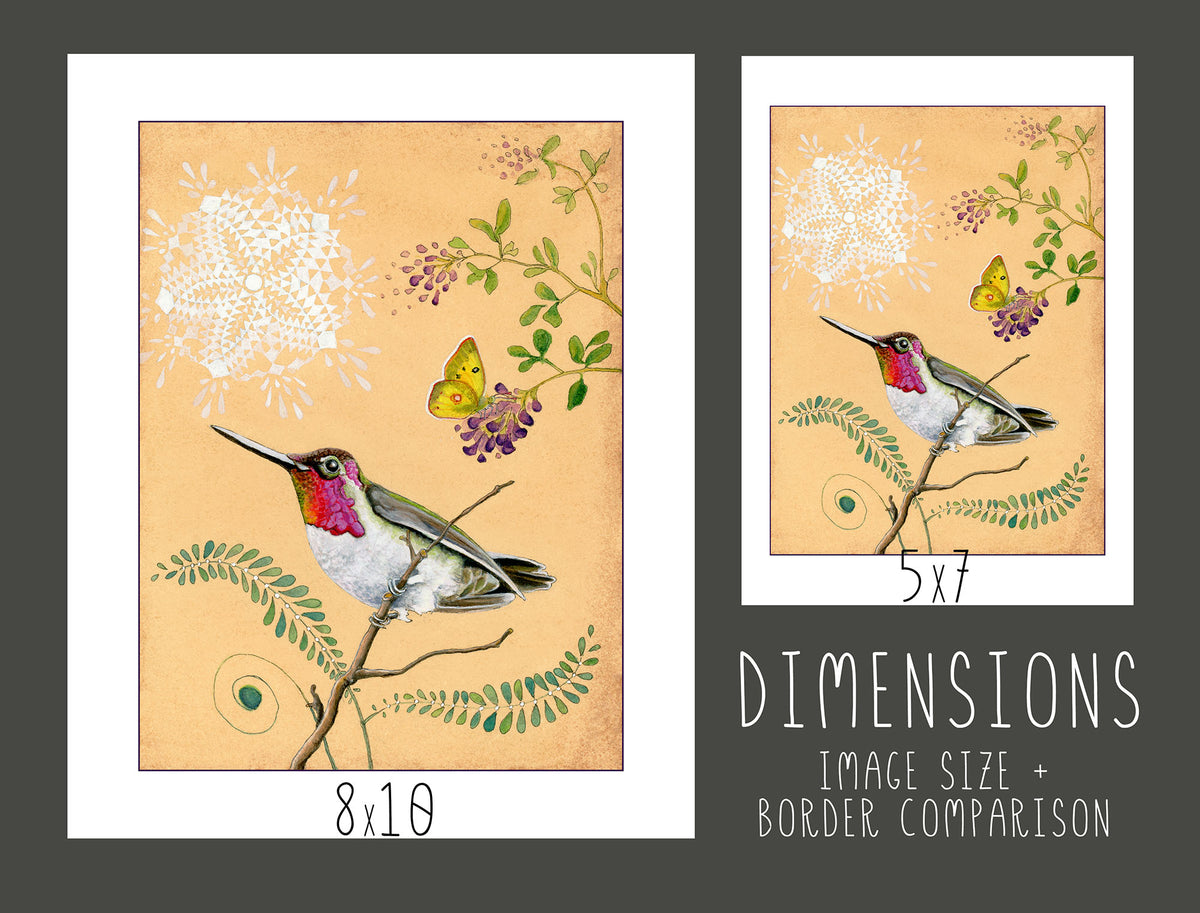 Anna's Hummingbird Print