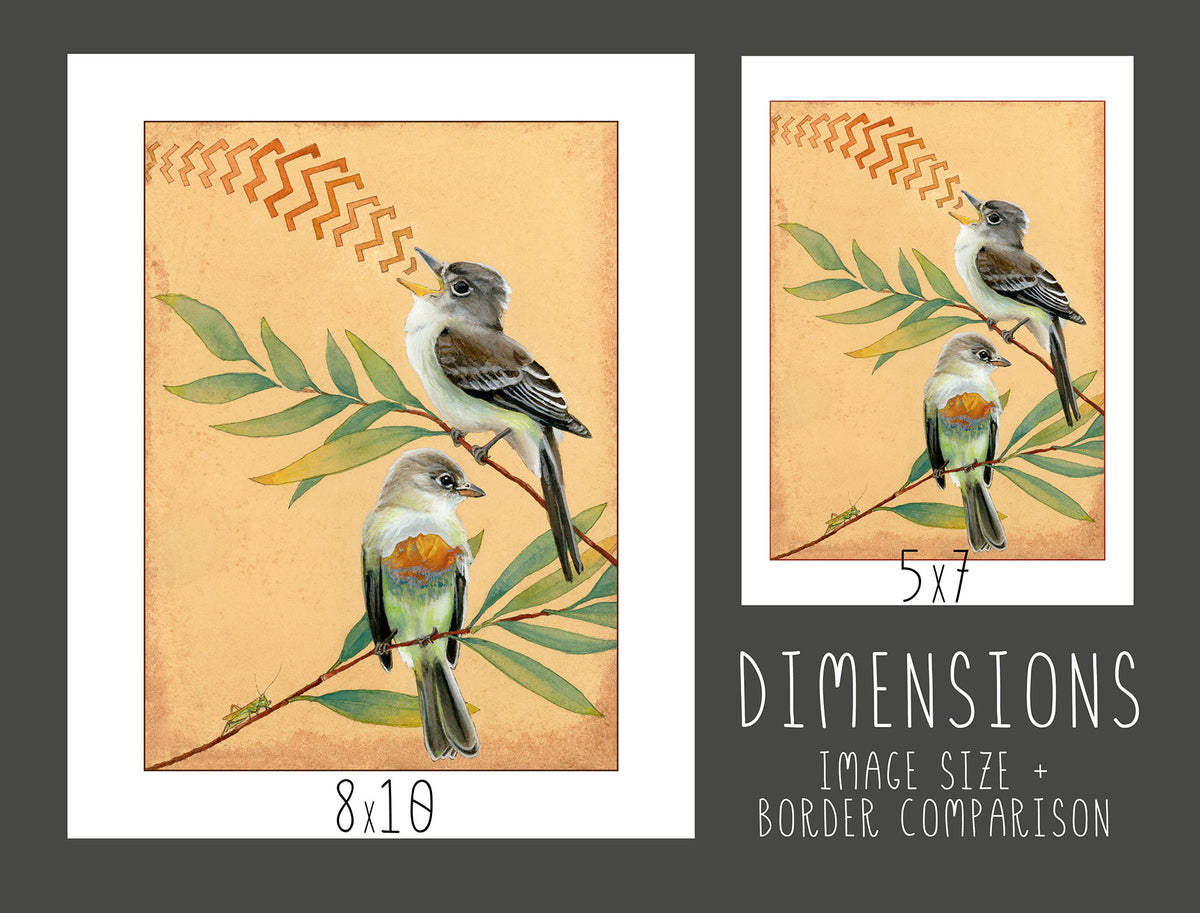 Willow Flycatchers Print