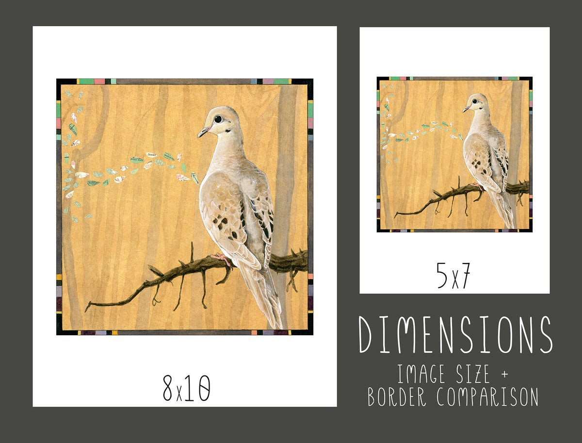 Mourning Dove Print