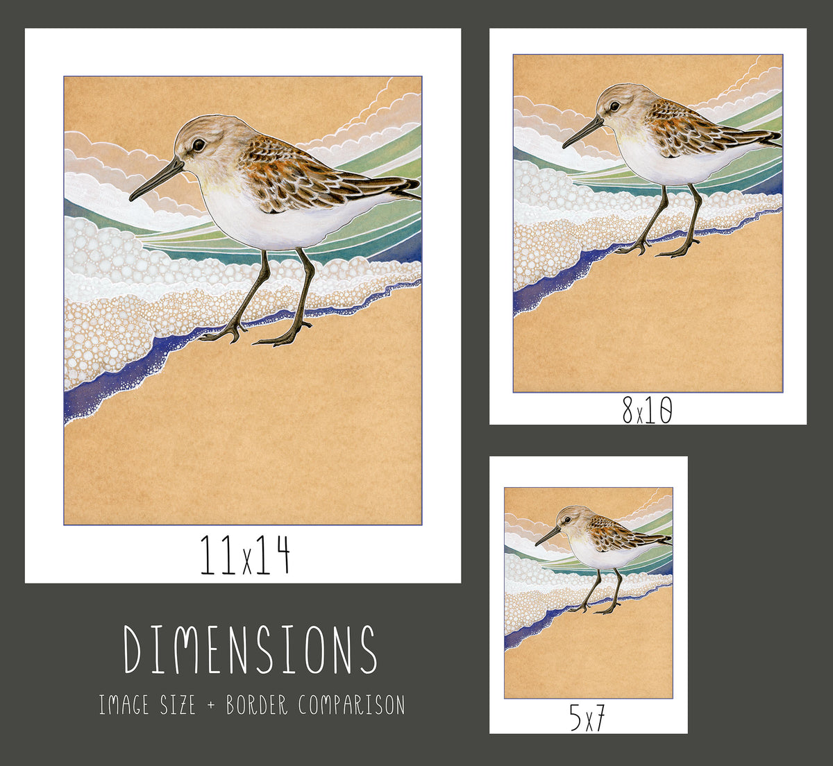 Western Sandpiper #1 Print