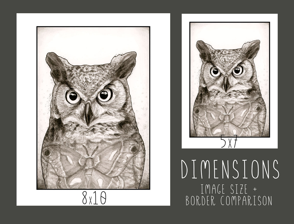 Great Horned Owl and Moth Print