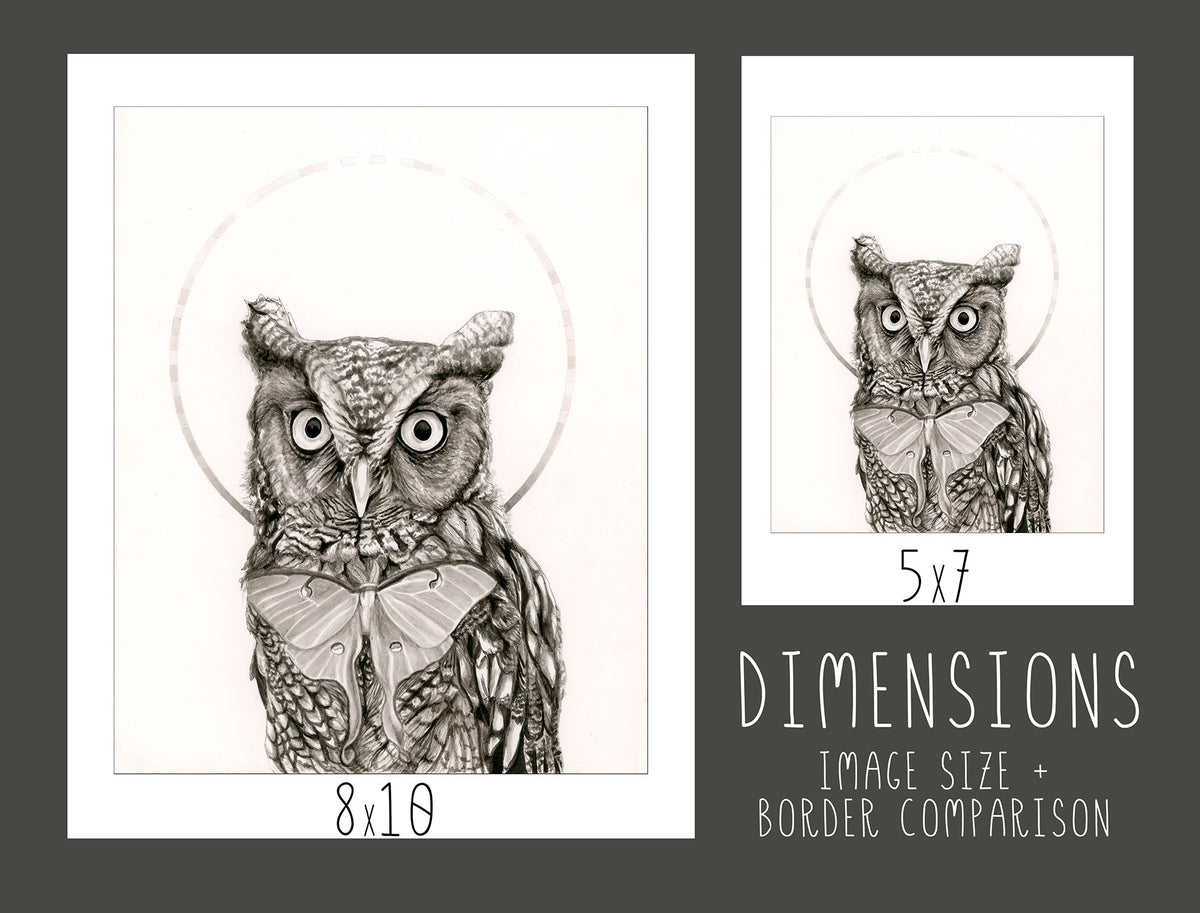 Eastern Screech Owl and Luna Moth Print