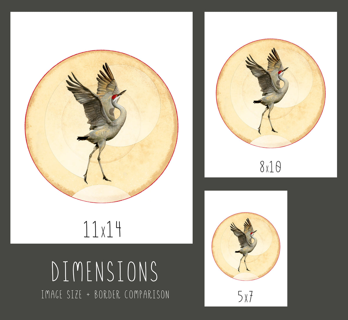 Sandhill Crane Print