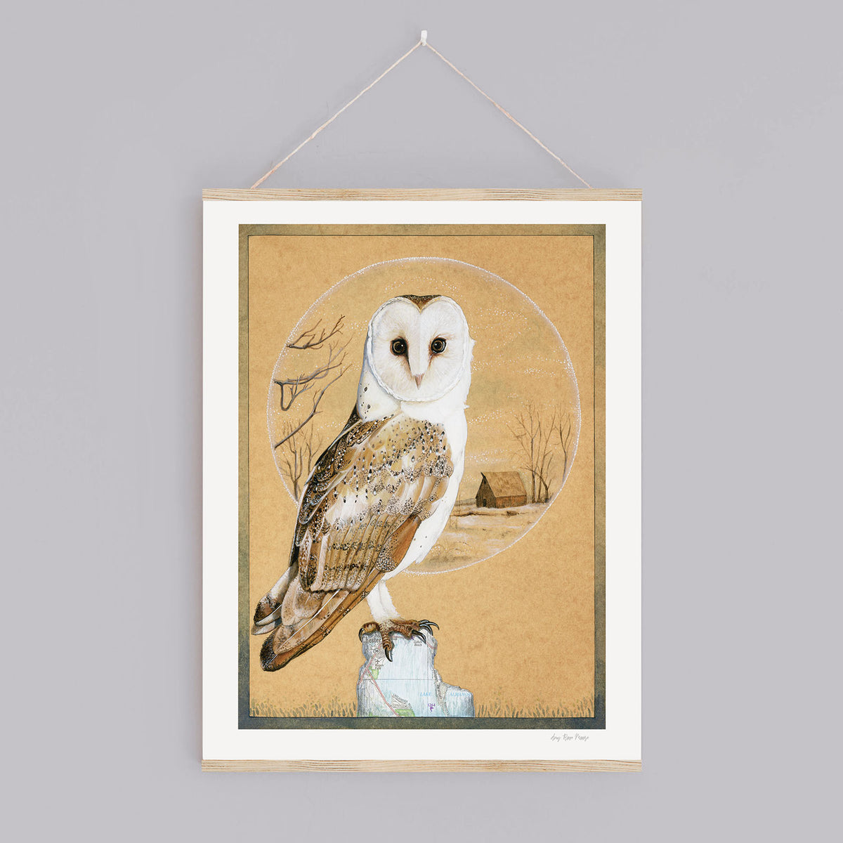 Barn Owl Print