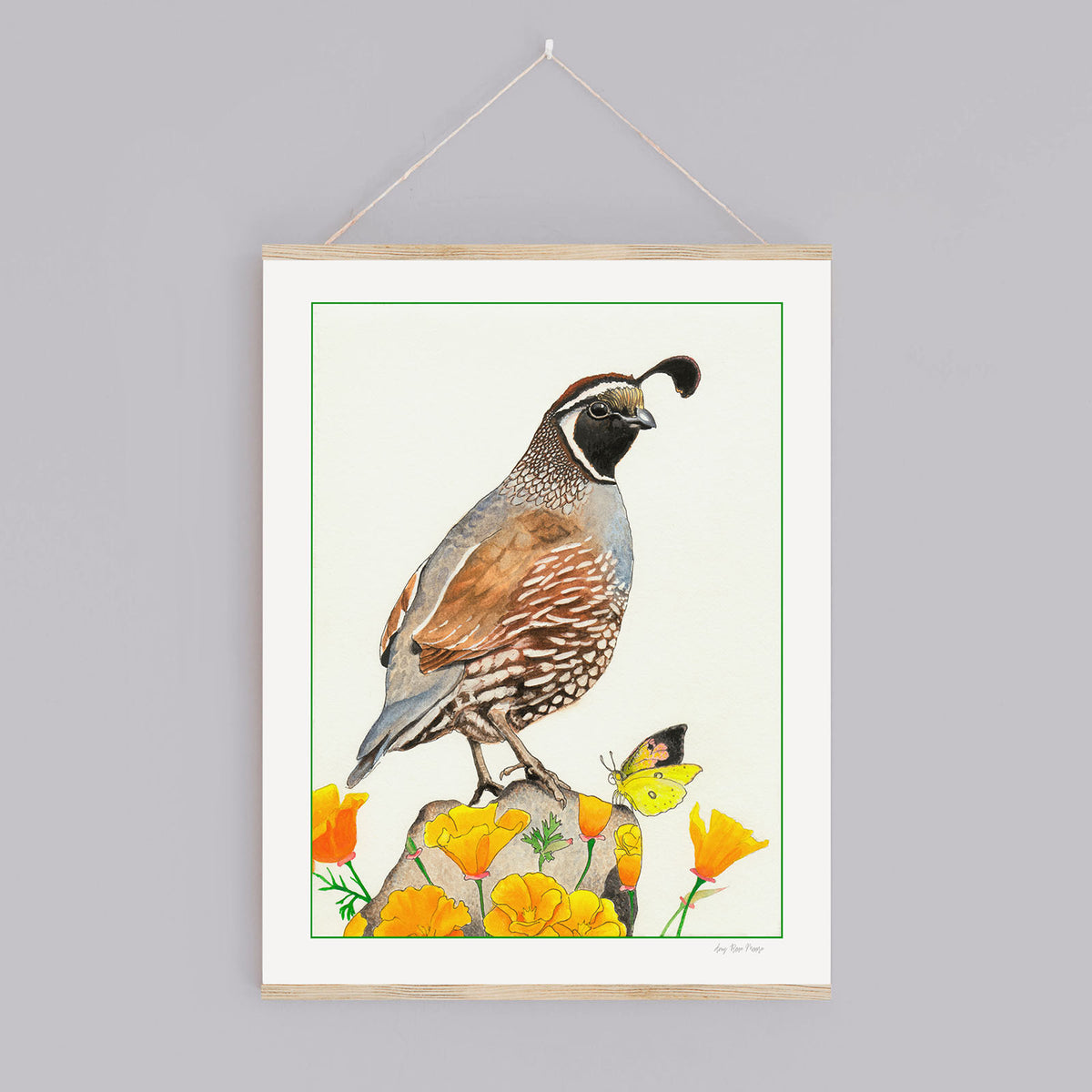 Quail and Poppies Print