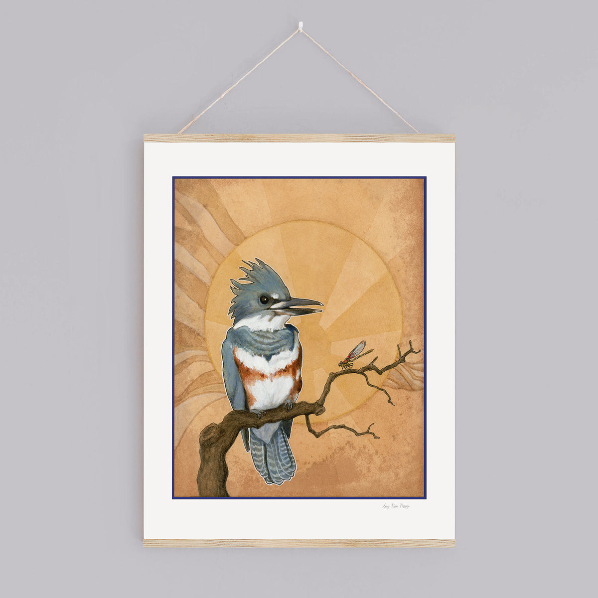 Belted Kingfisher Print