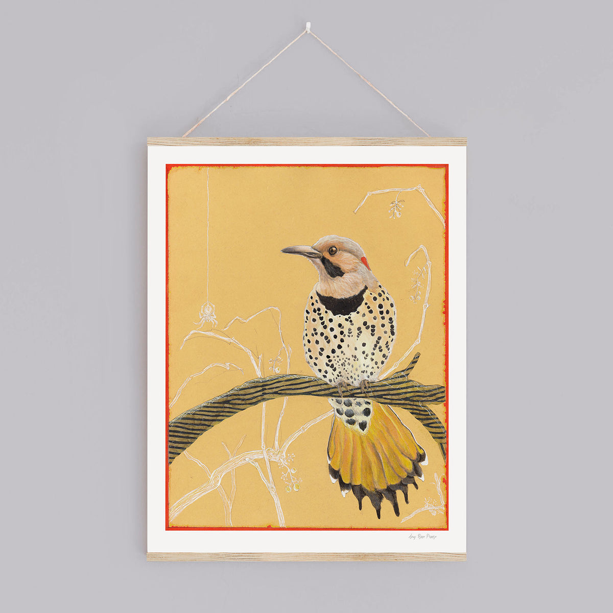 Northern Flicker Print