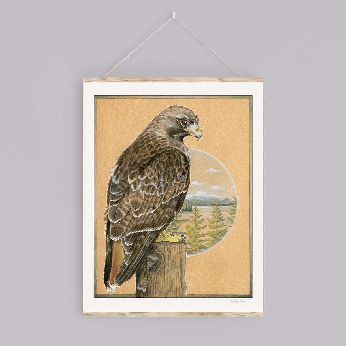 Red-tailed Hawk Print