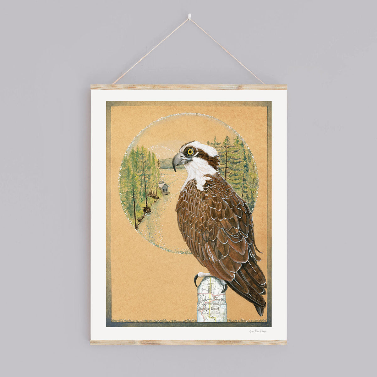 Osprey Print