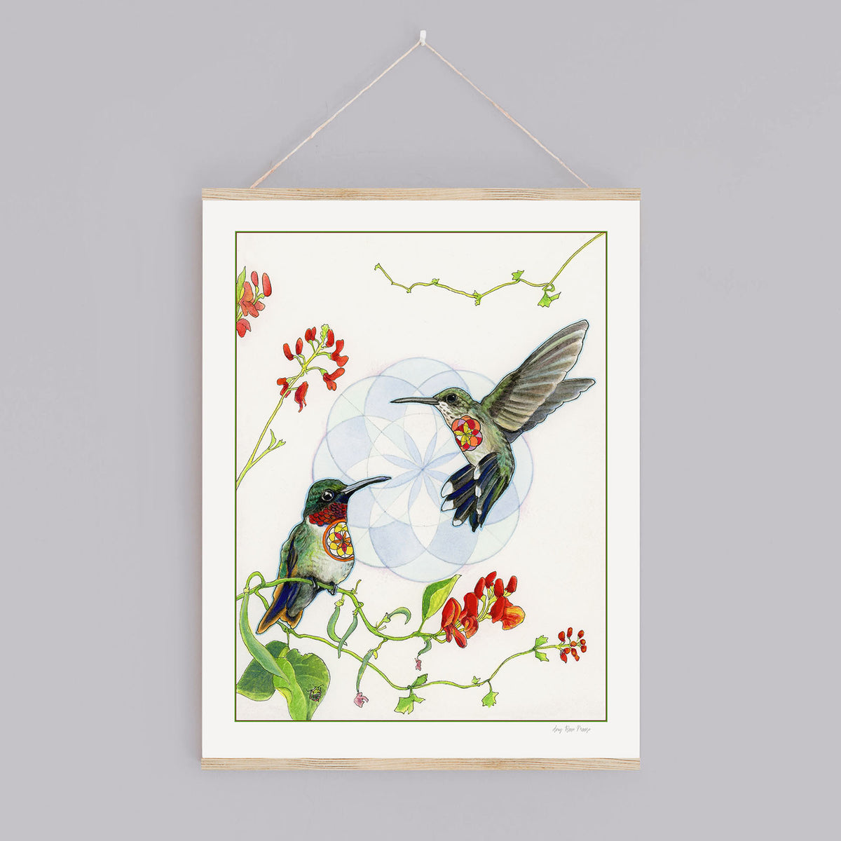 Ruby-throated Hummingbirds Print