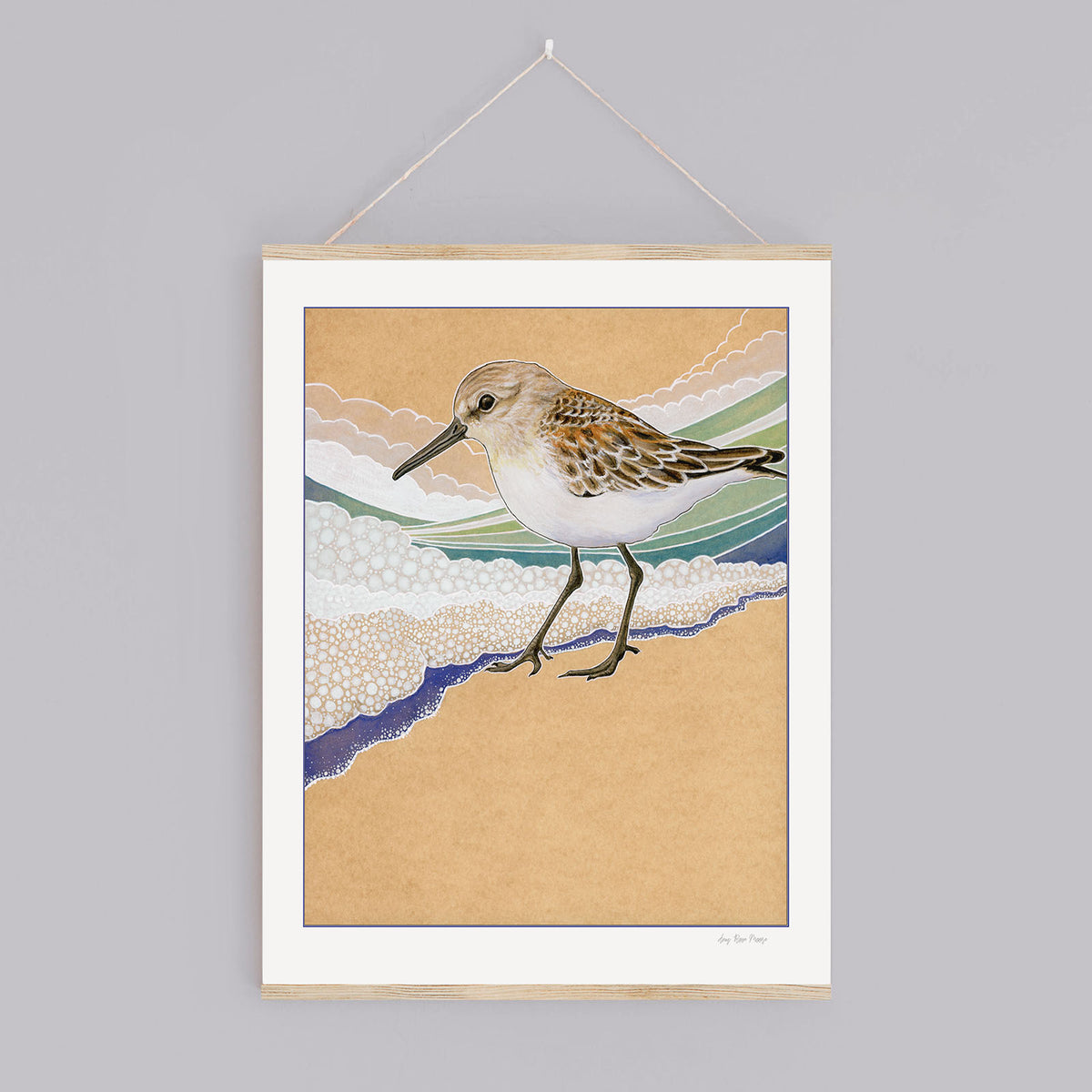 Western Sandpiper #1 Print