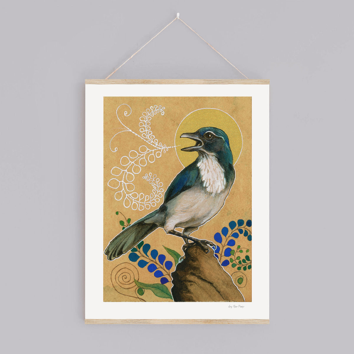 Scrub Jay Print