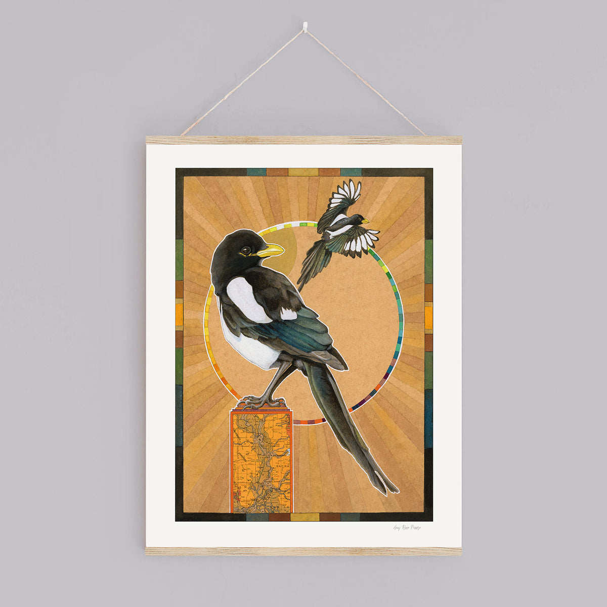 Yellow-billed Magpie Print