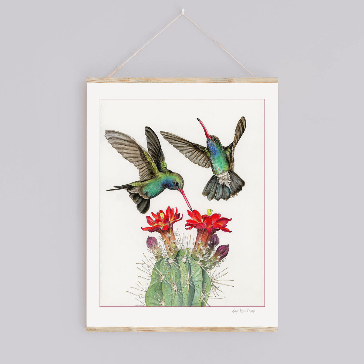 Broad-billed Hummingbirds Print