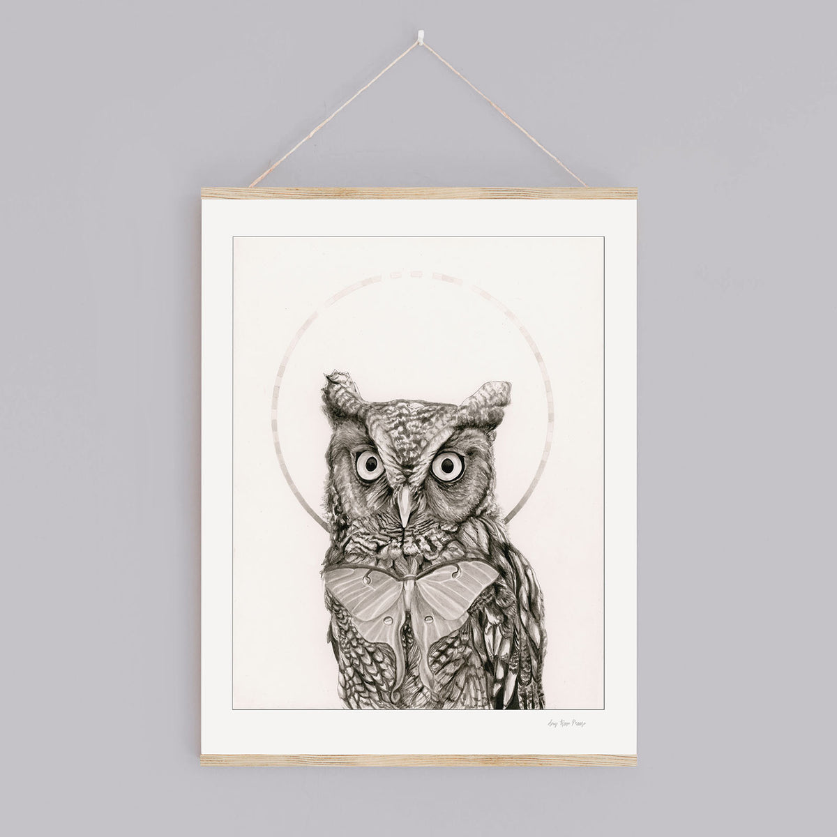 Eastern Screech Owl and Luna Moth Print