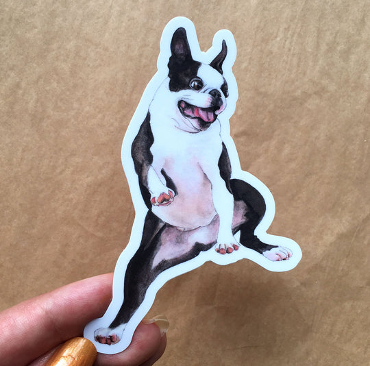 Boston Terrier Dog - Sticker