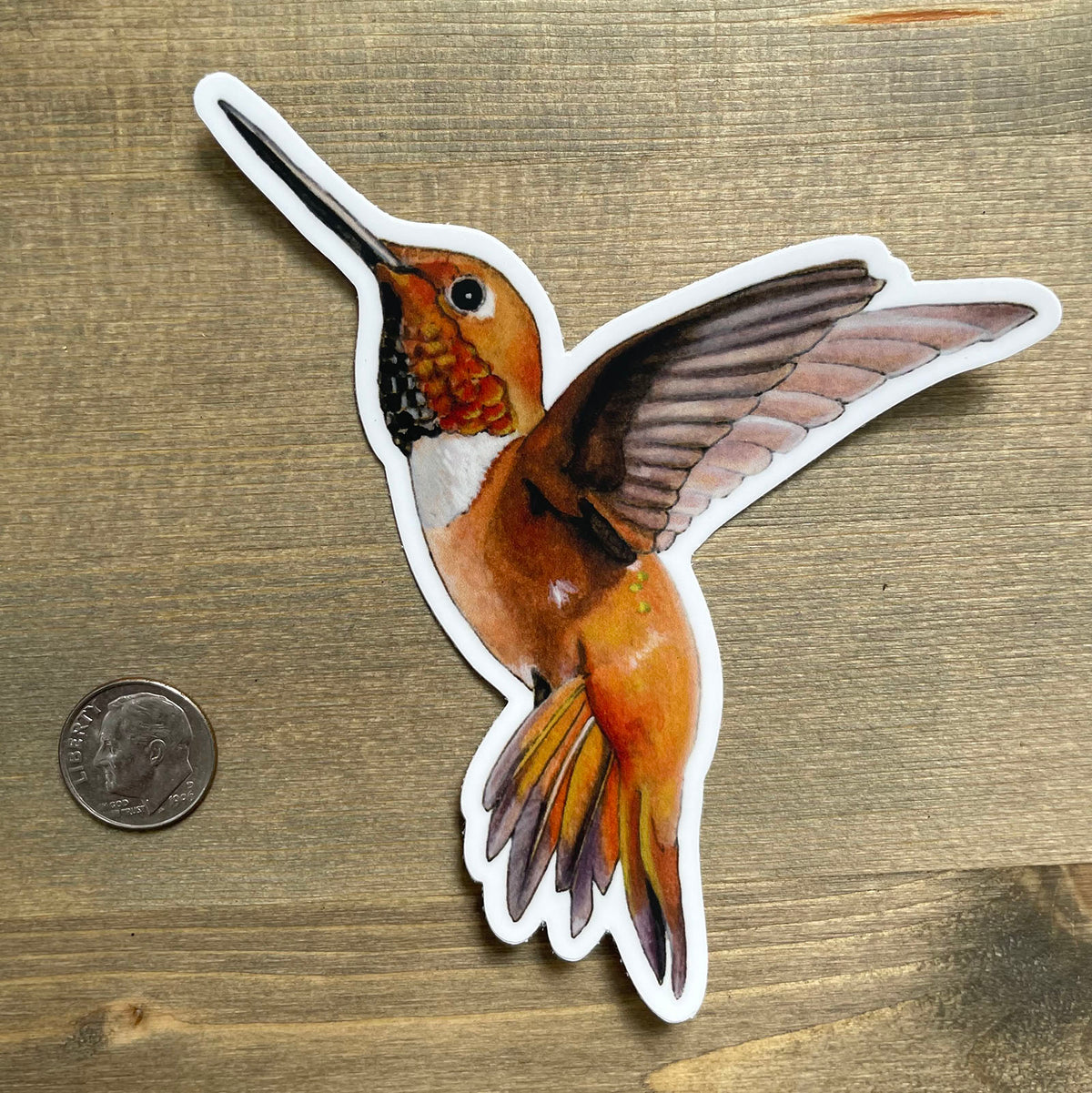 Rufous Hummingbird - Sticker