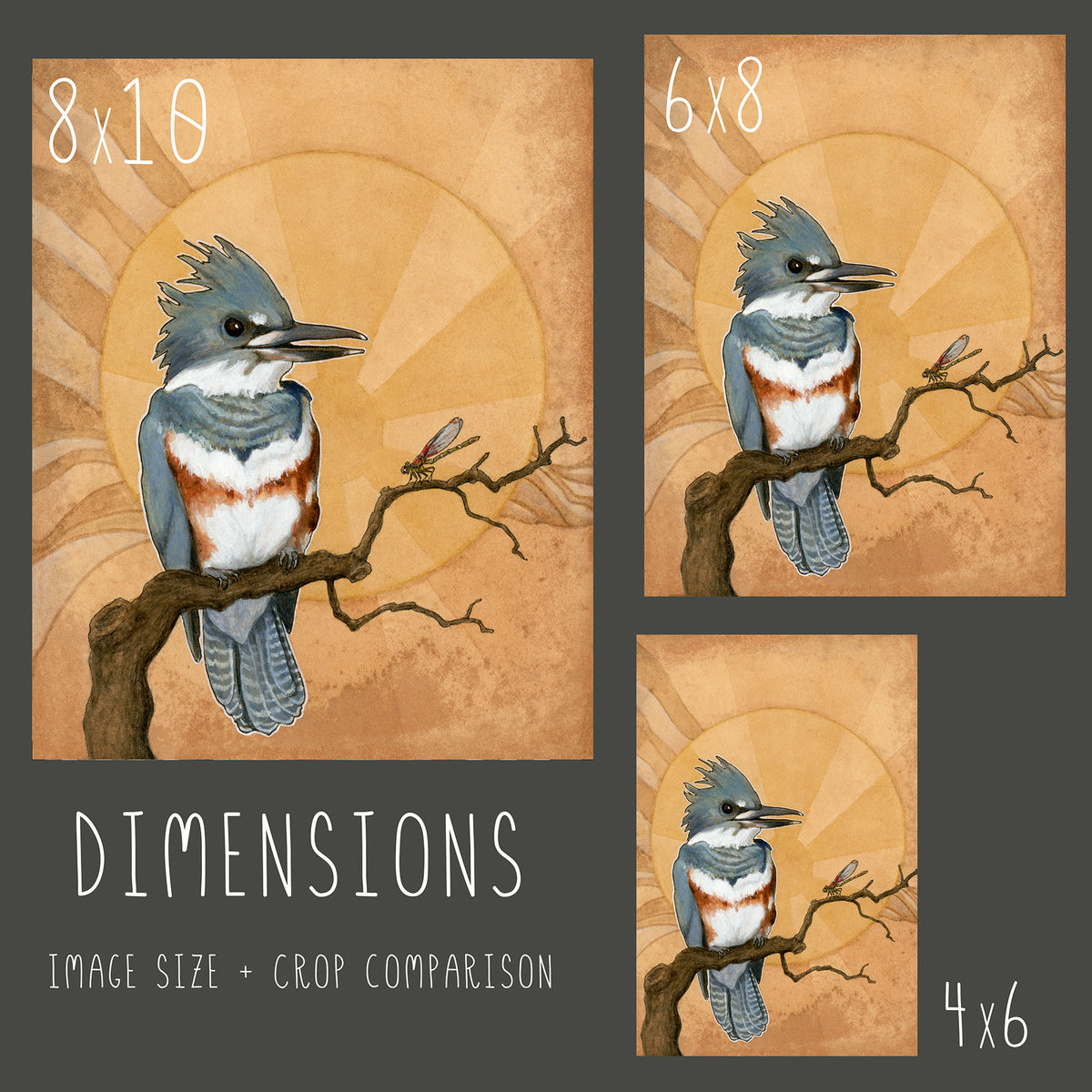 Belted Kingfisher - Wood Panel Print