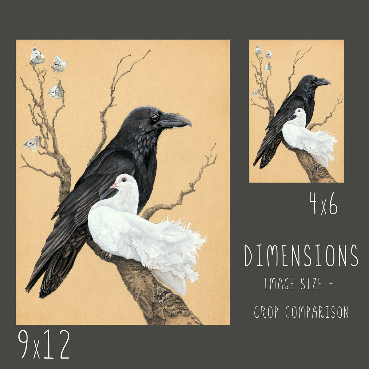 Raven and Dove - Wood Panel Print