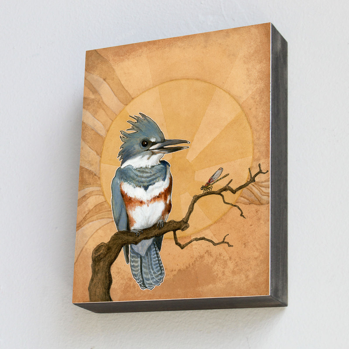 Belted Kingfisher - Wood Panel Print