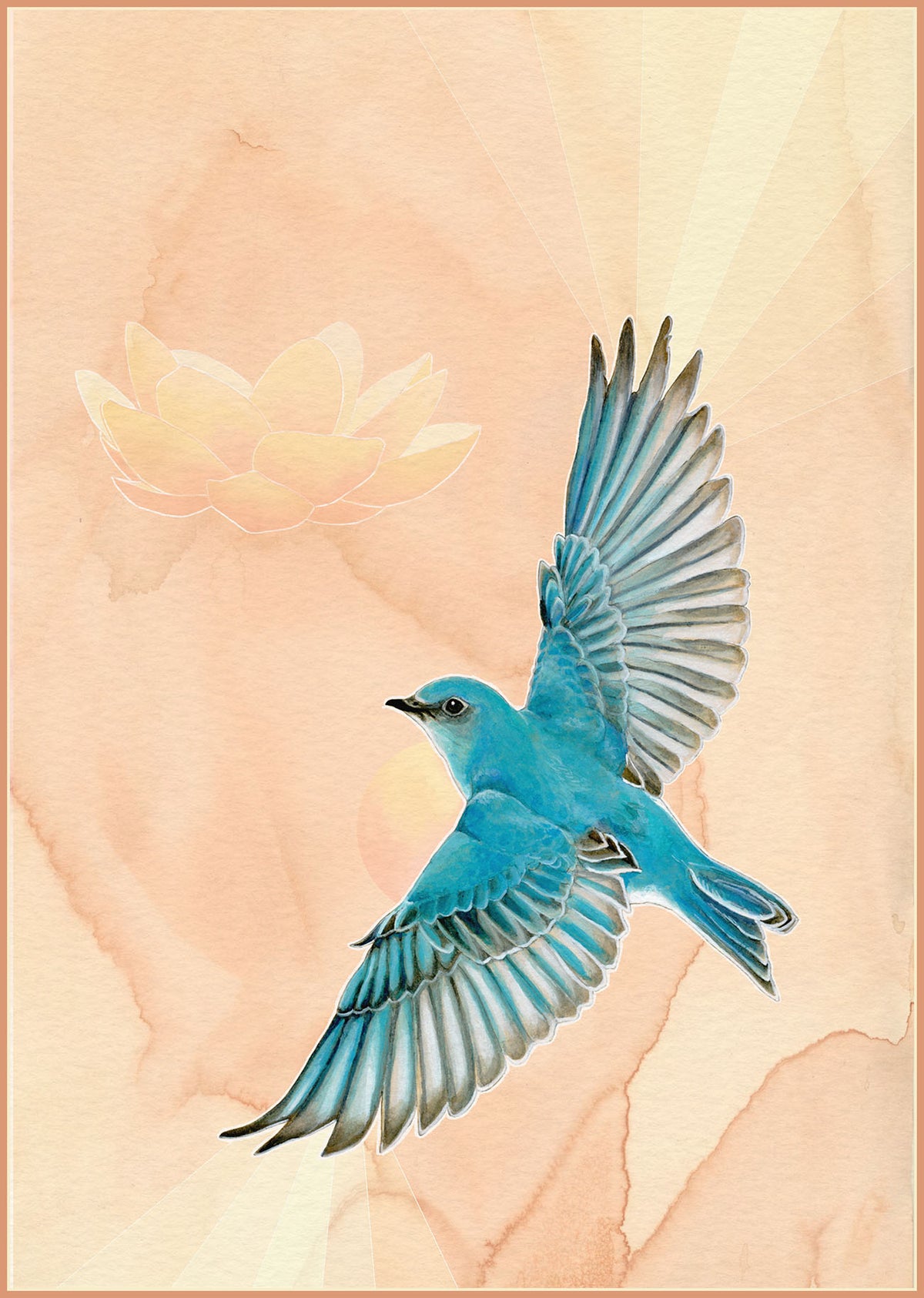Mountain Bluebird Version #2 Print