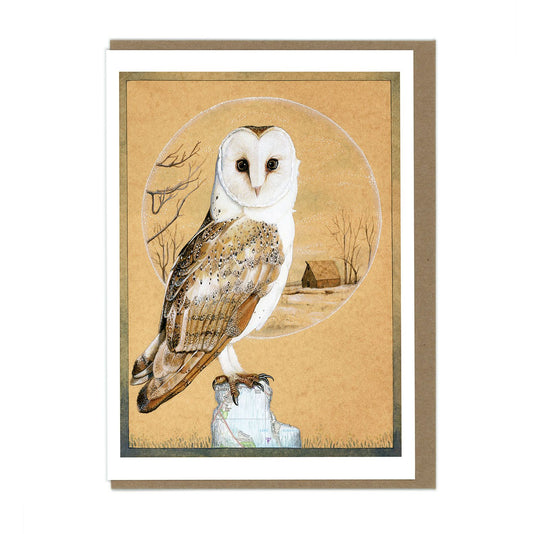 Barn Owl - Greeting Card