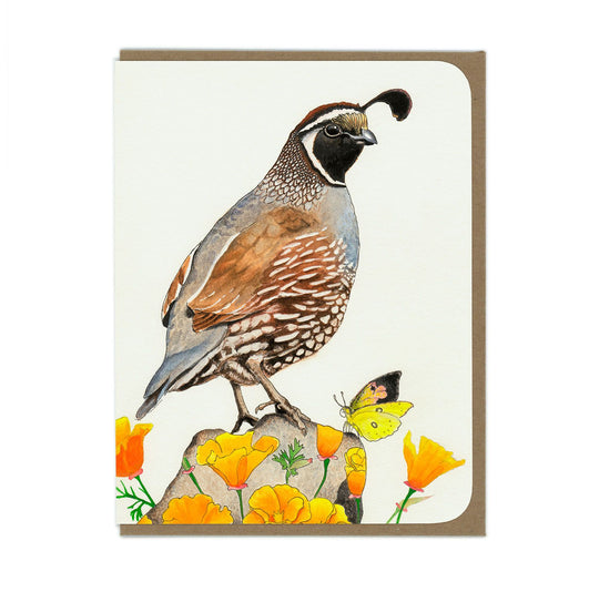 Quail & Poppies - Greeting Card