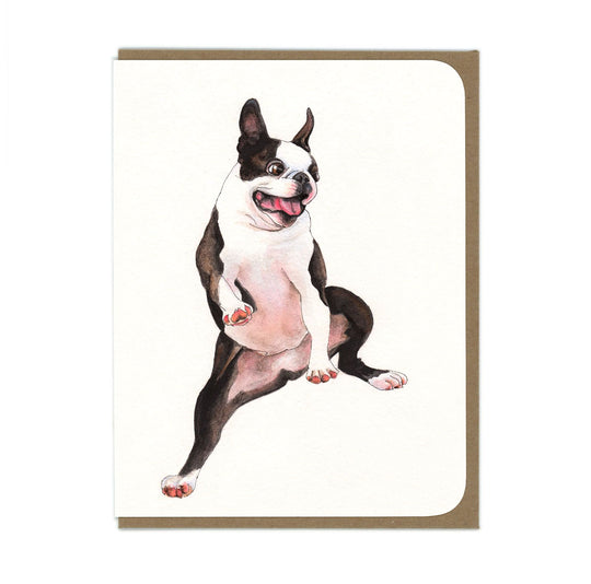 Boston Terrier - Greeting Card