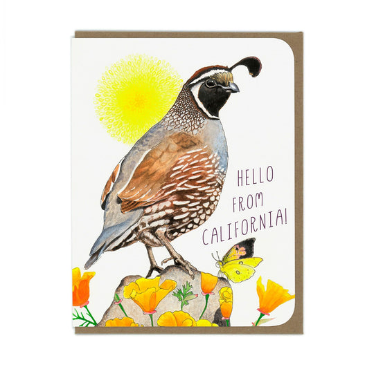 Hello From California - Quail and Poppies - Greeting Card