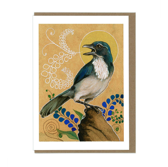 Scrub Jay - Greeting Card