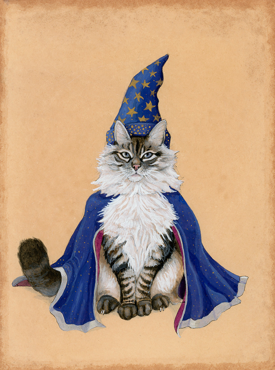 Wizard Cat Print