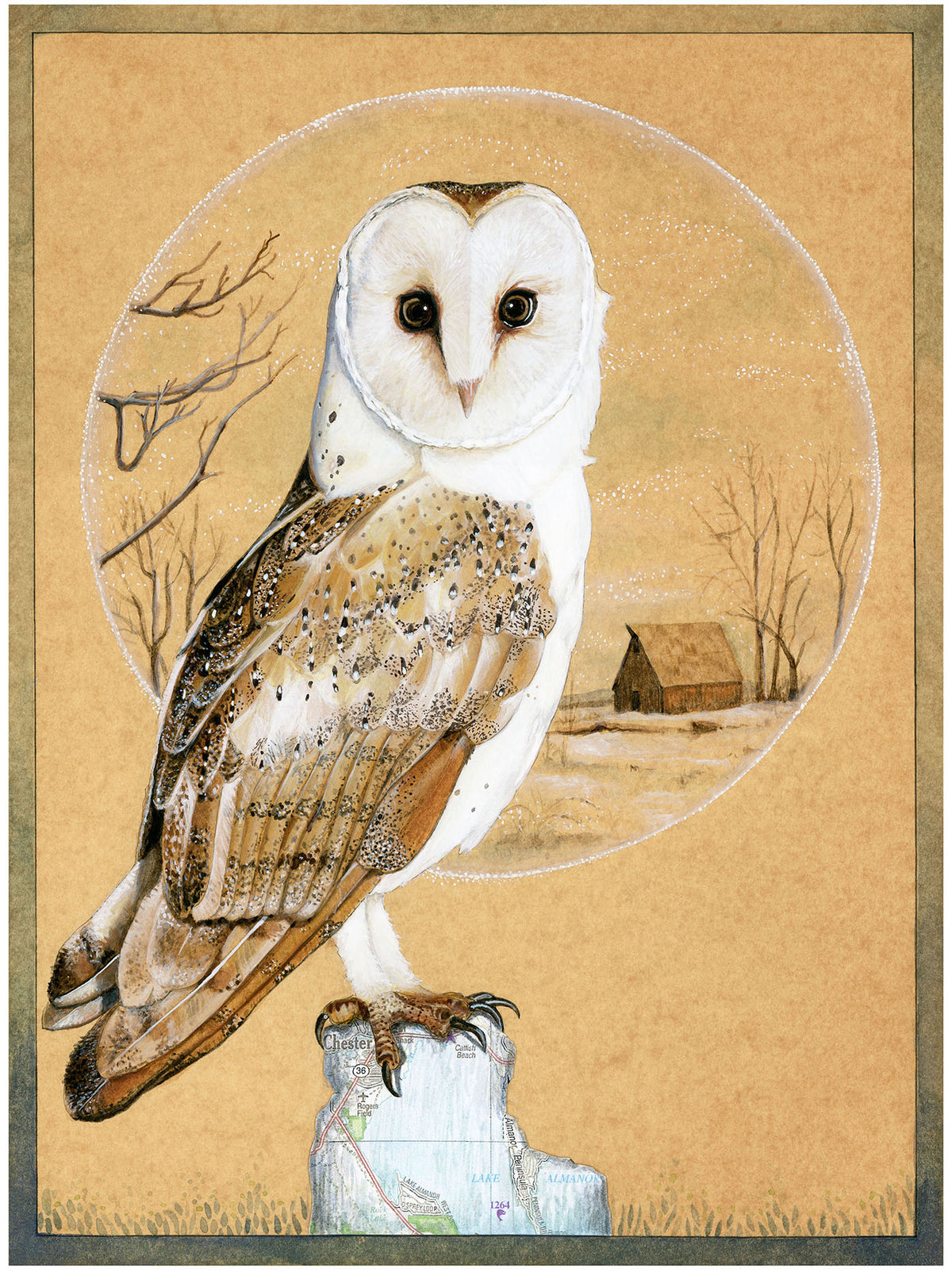 Barn Owl Print