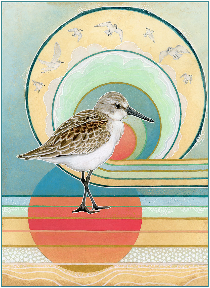 Western Sandpiper #2 "The Golden Place" Print