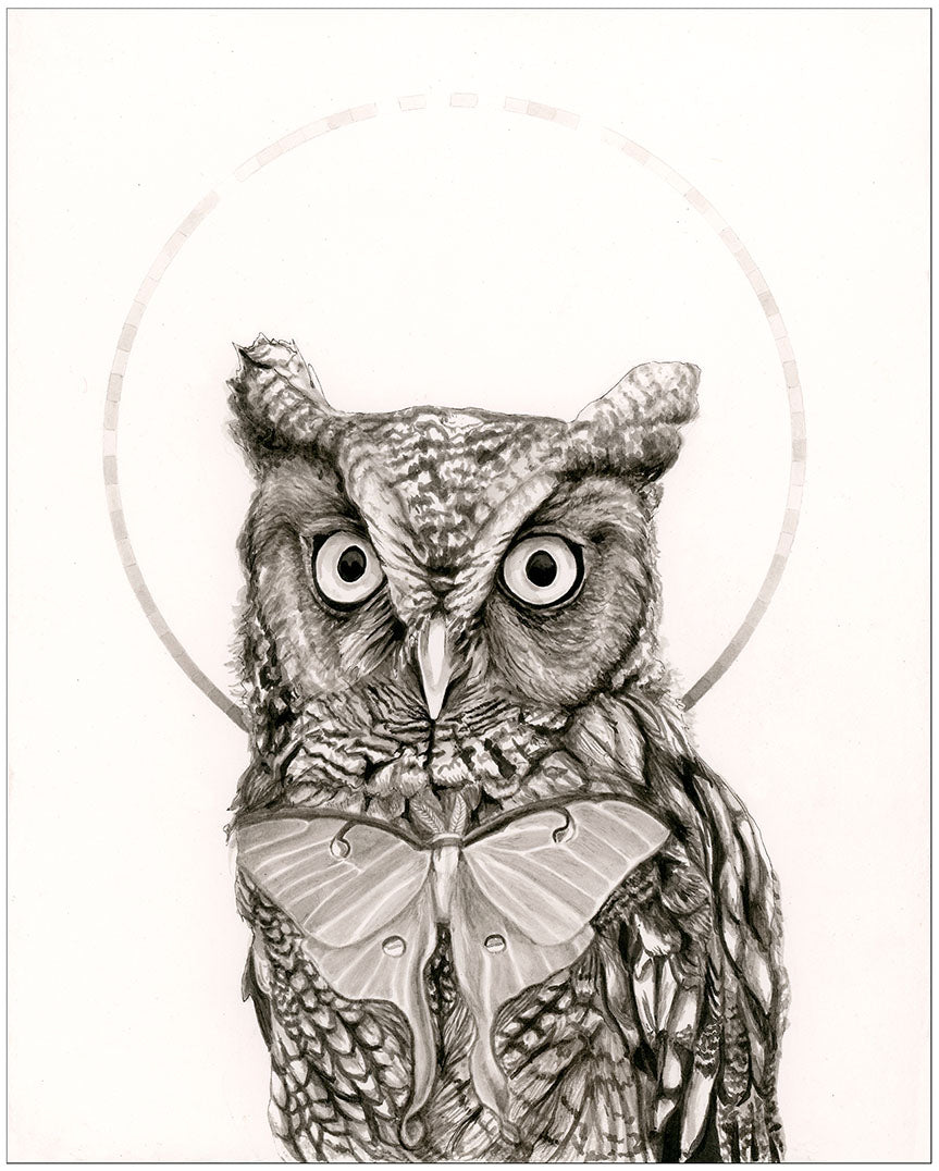 Eastern Screech Owl and Luna Moth Print