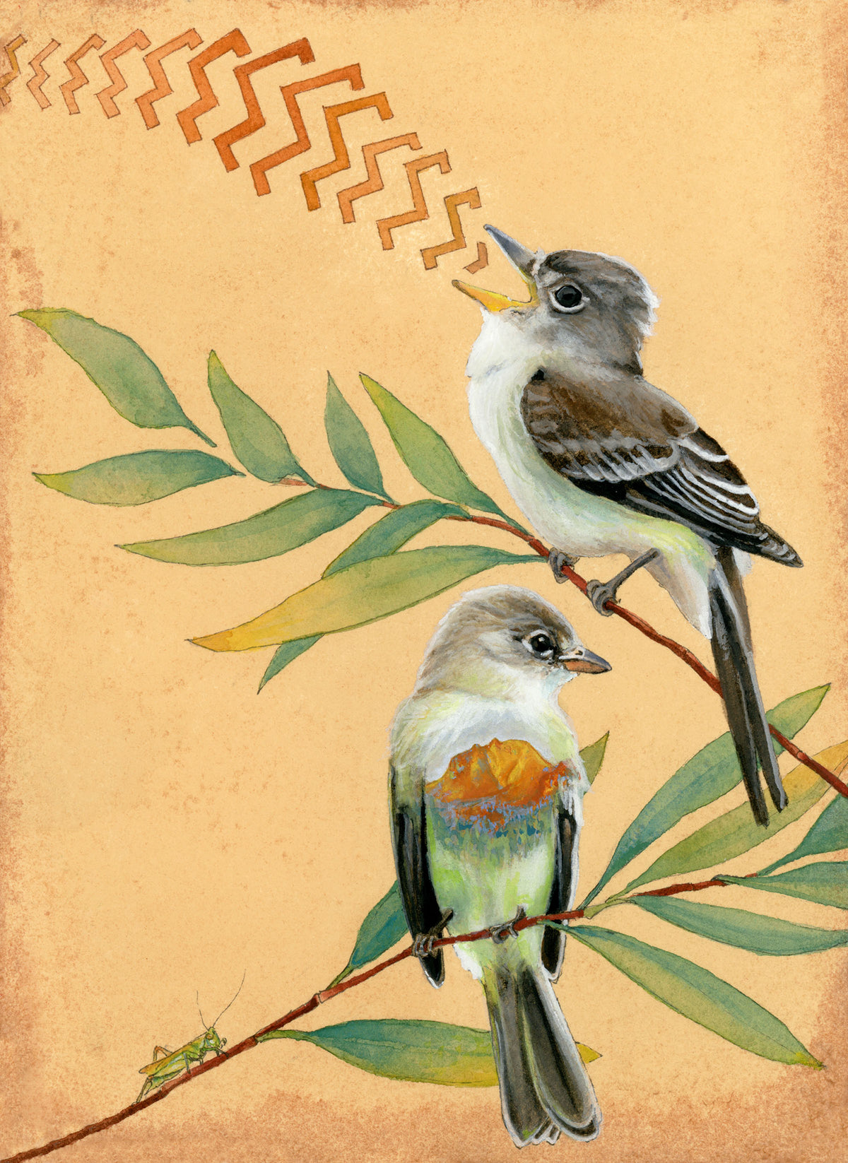 Willow Flycatchers Print