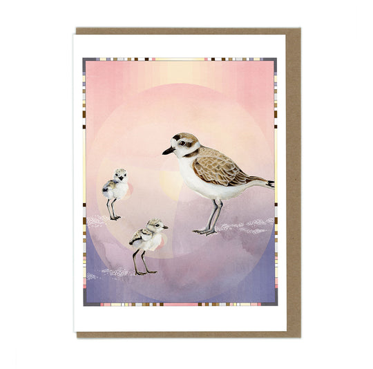 Snowy Plovers - Mama and Babies - Greeting Card