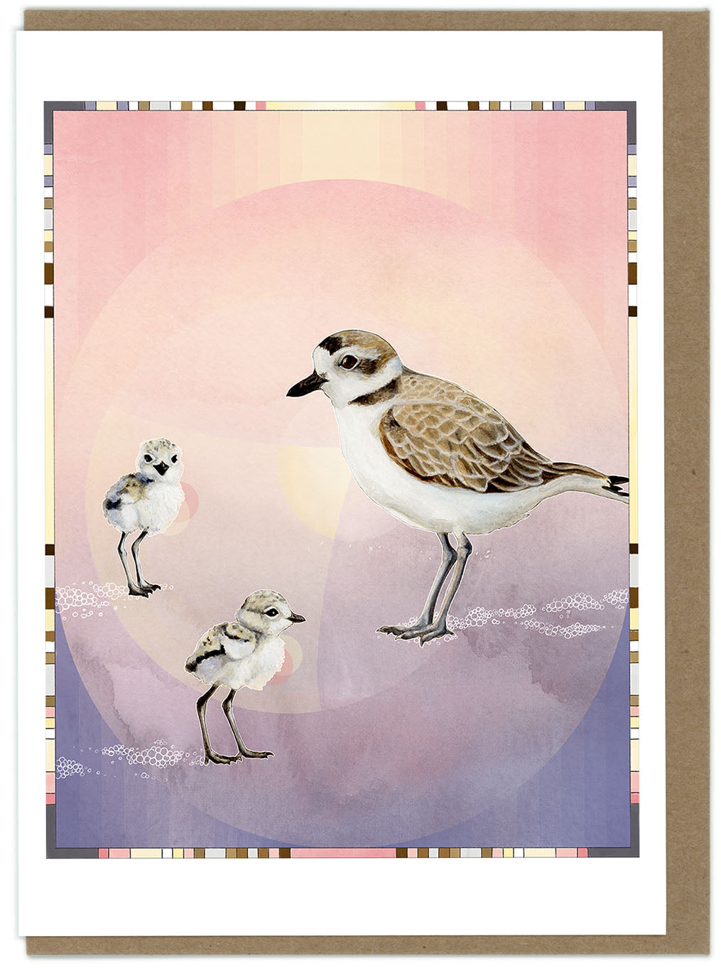 Snowy Plovers - Mama and Babies - Greeting Card