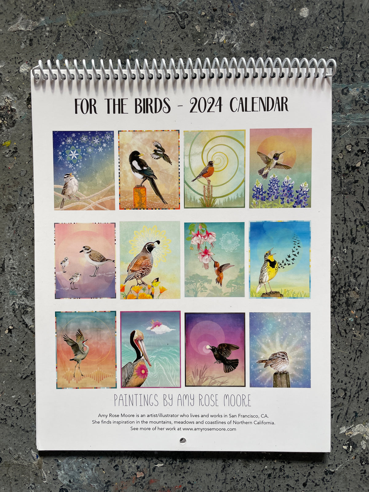 For The Birds - 2024 Calendar