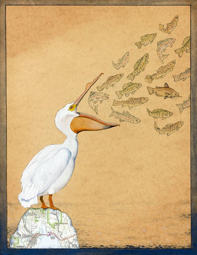 White Pelican "Fishing Song" Print - Wholesale