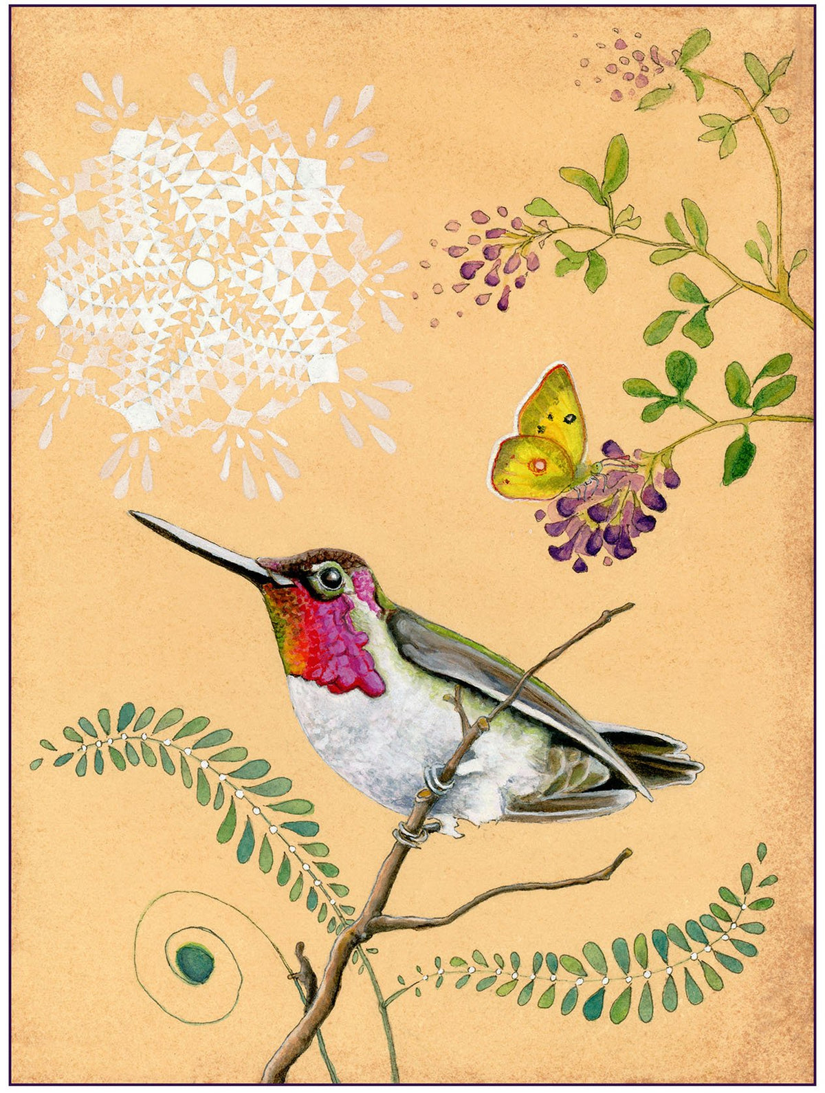 Anna's Hummingbird Print - Wholesale