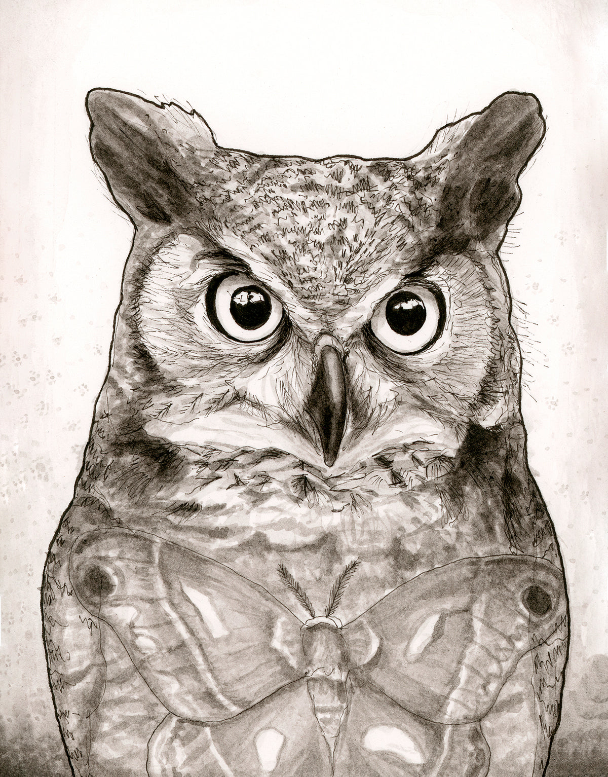Great Horned Owl and Moth Print
