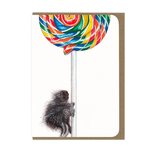 Birthday - Porcupop - Greeting Card