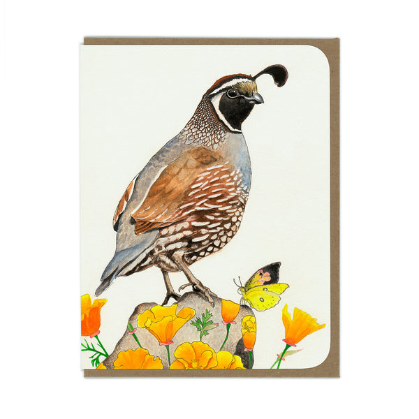 Quail and Poppies Card - Wholesale